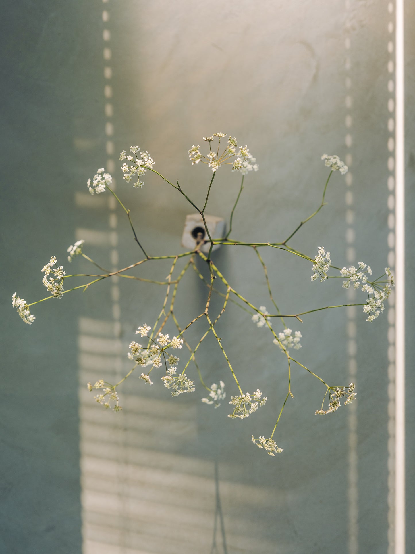 Beginning of the Summer