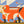 Hereford Bull