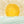 Follow the sun