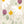 Wildflowers