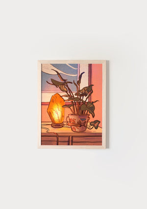 January Light