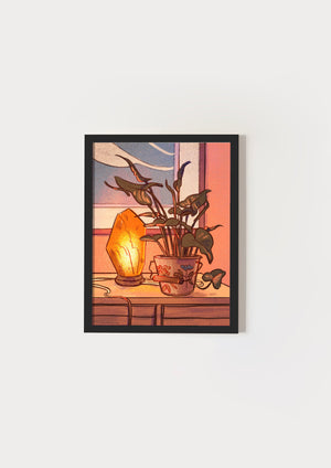 January Light