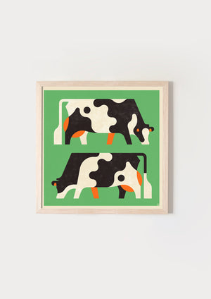 Cows