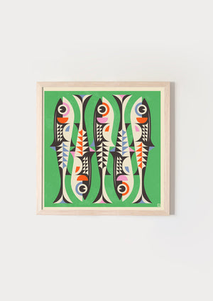 Sardines