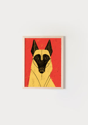 Malinois