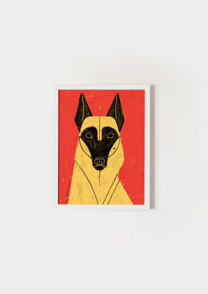 Malinois