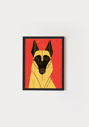 Malinois