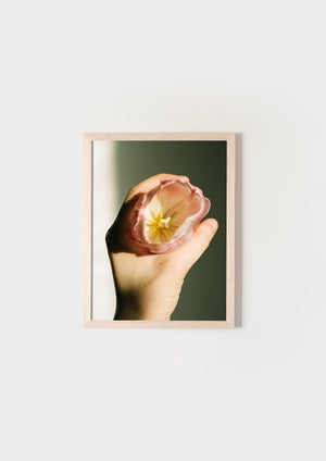But I'm Allergic To Flowers VI.
