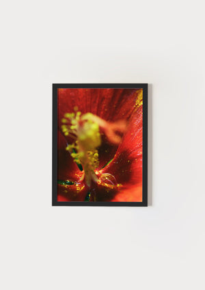 But I'm Allergic To Flowers IV.