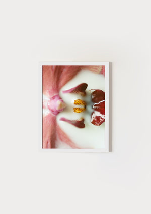 But I'm Allergic To Flowers III.