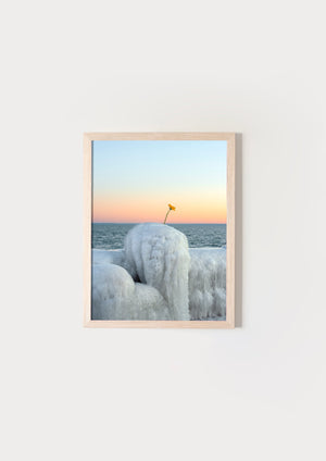 Frozen flower
