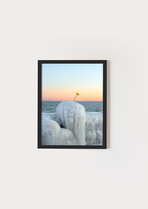 Frozen flower