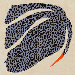 Spotted bird
