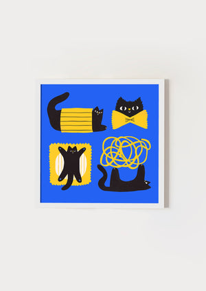 Pasta cat blue